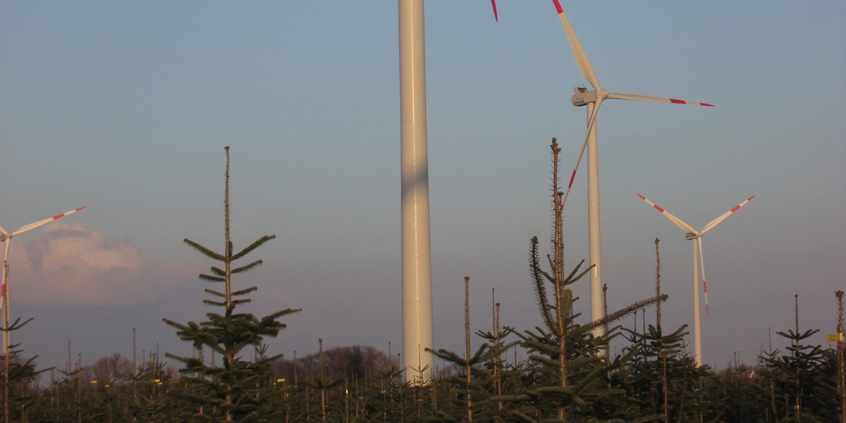holzhausen1